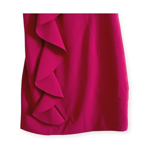 NWT Cinq A Sept Kimberlin Sleeveless Crepe Ruffle Mini Dress, size 10 - Picture 6 of 14